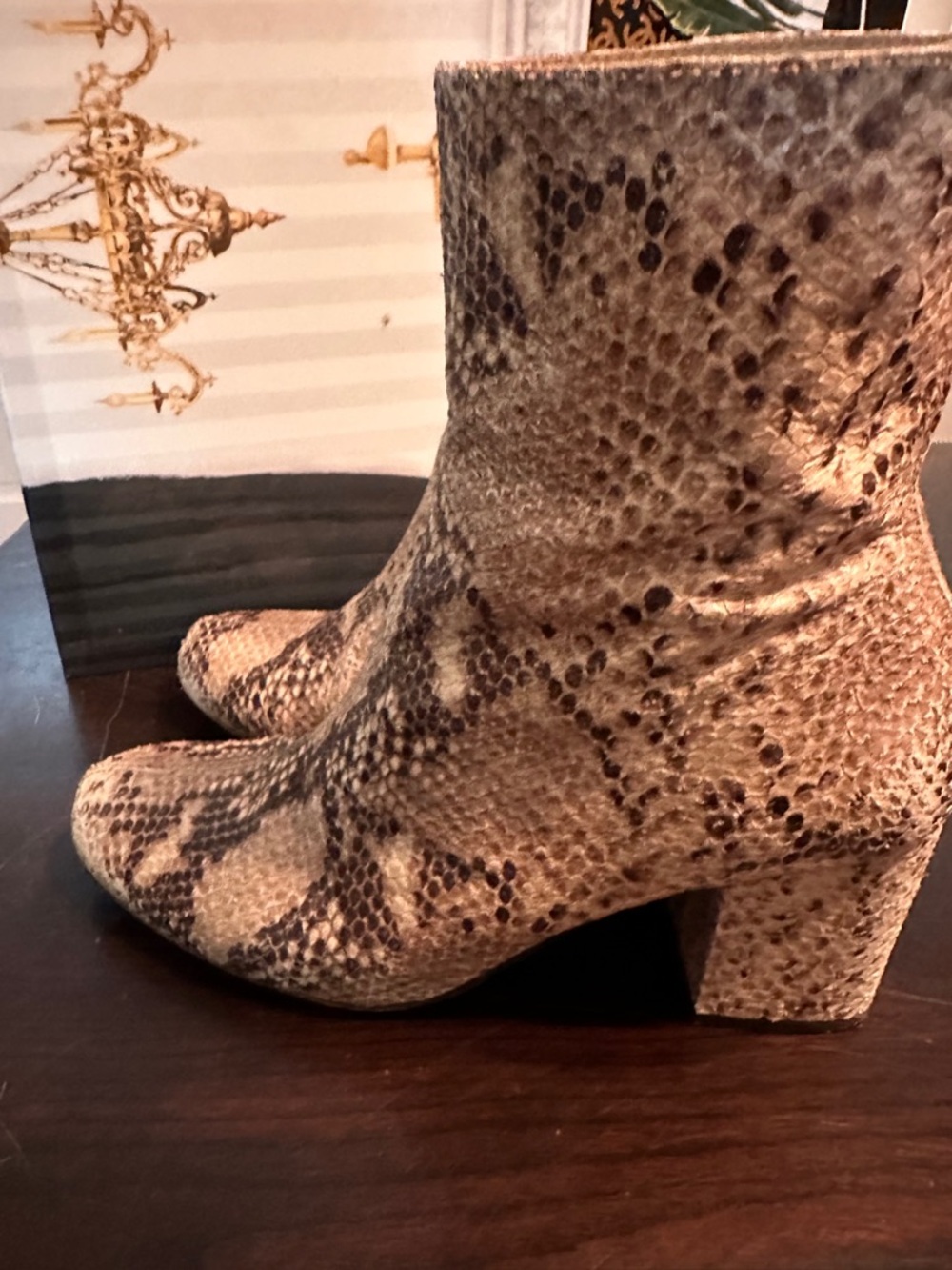Free People Tan and Brown Snakeskin Ankle Boots - Picture 6 of 12